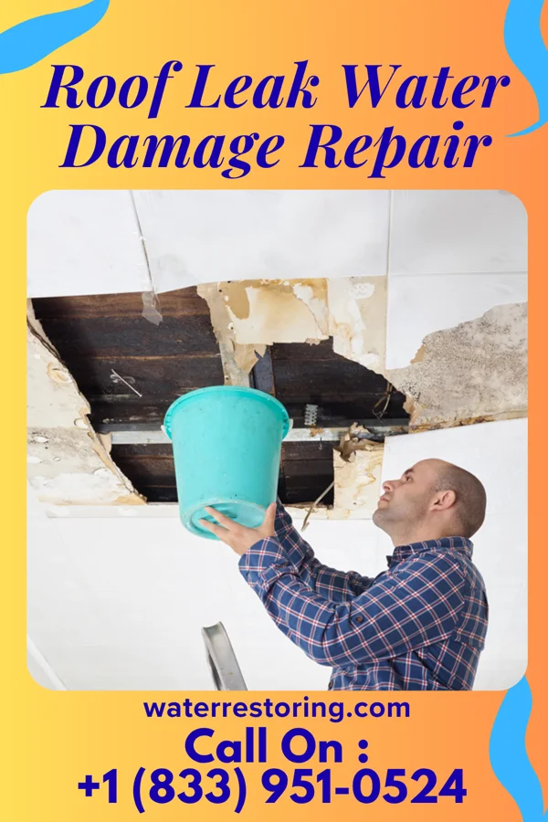 Roof Leak Water Damage Repair in Rutherford College, NC